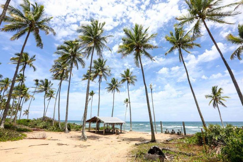 Hostel Suites Barra Grande Barra Grande  Zewnętrze zdjęcie